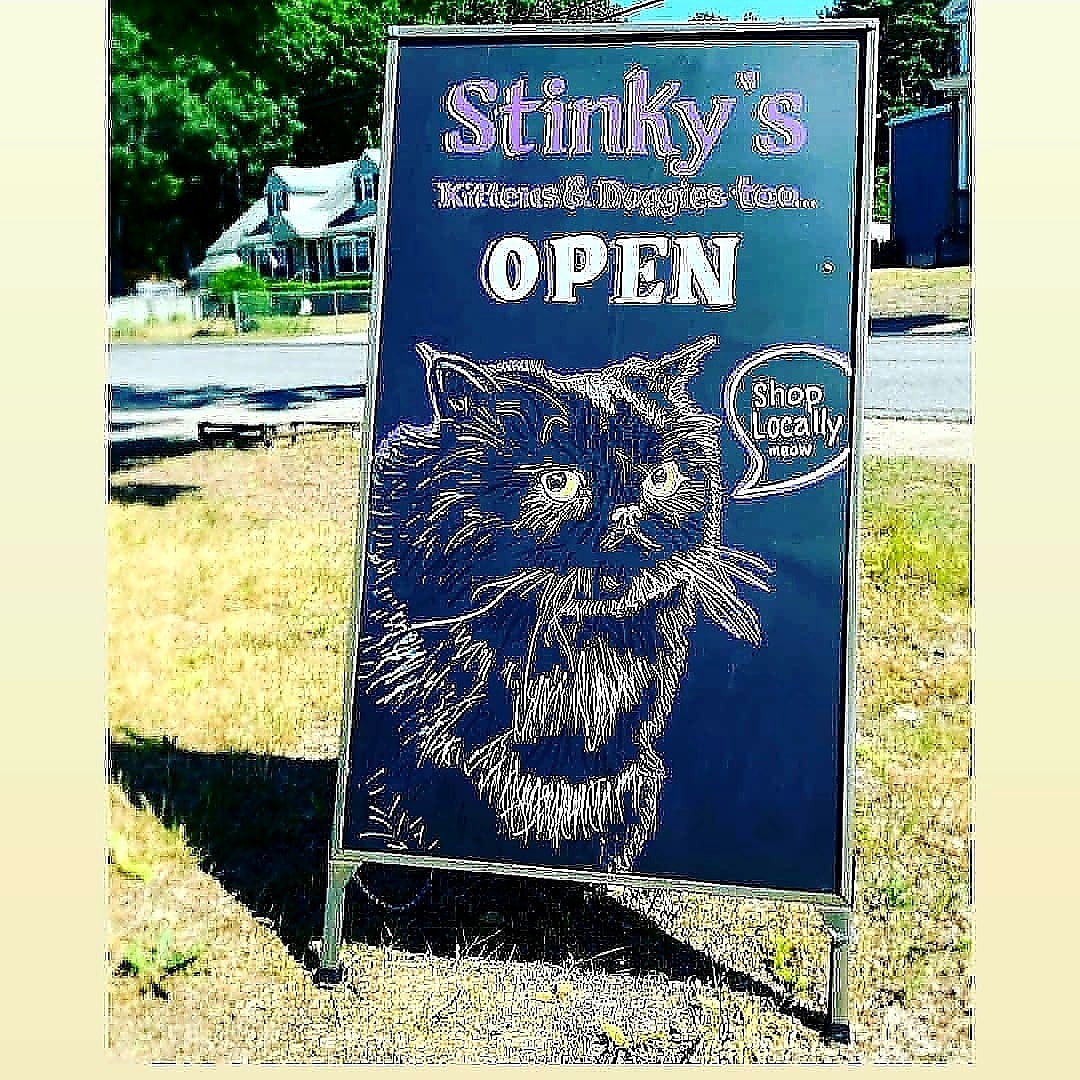 Stinky's Kittens & Doggies Too
